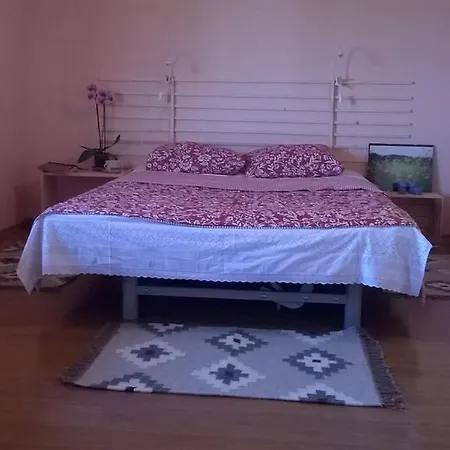 Rum i privatbostad Casa Smaranda Douăzeci şi Trei August