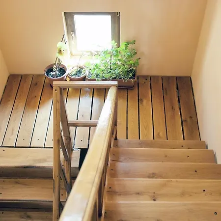 Casa Smaranda Rum i privatbostad